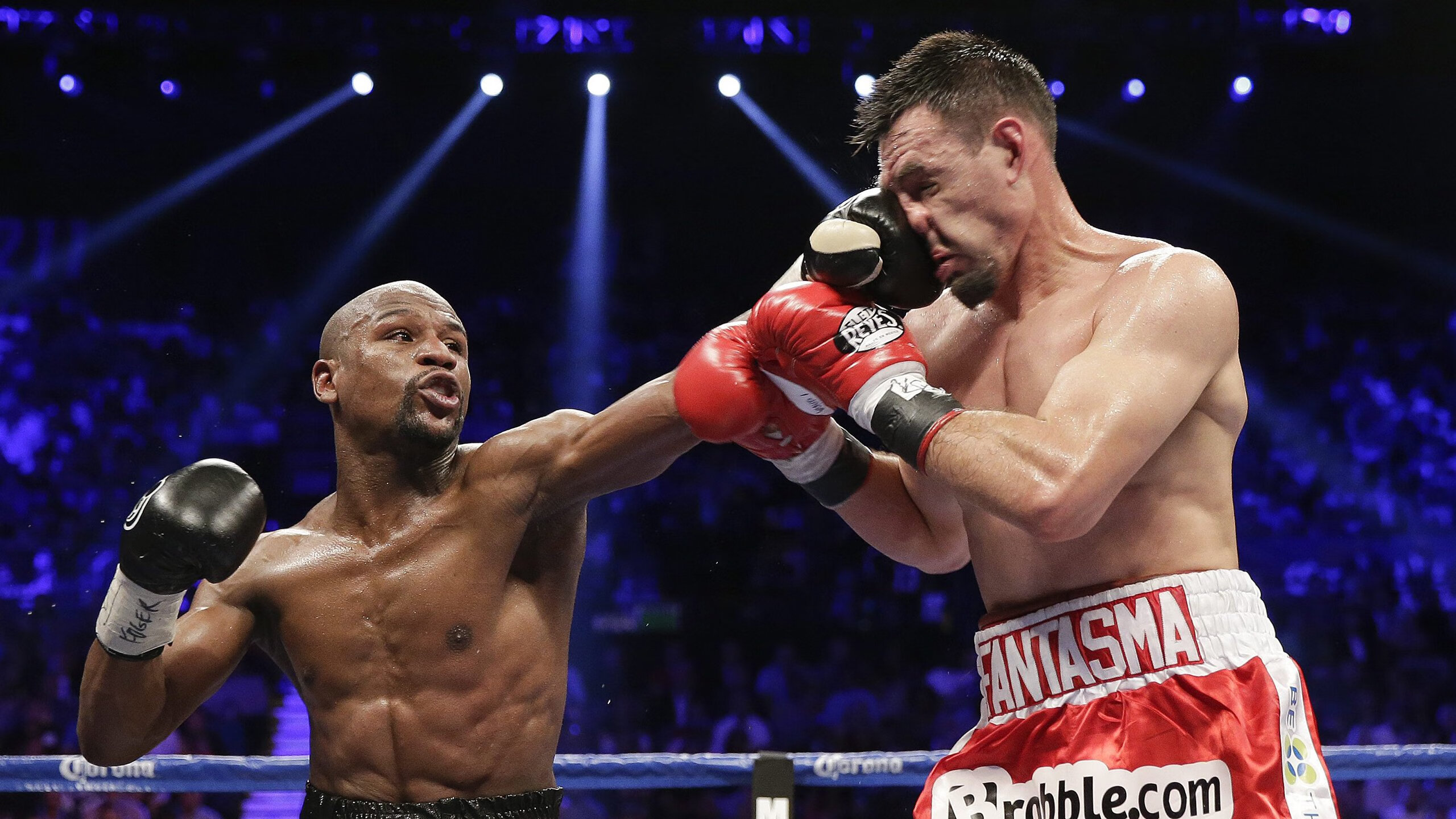 “世界顶尖泳者齐聚新加坡,2025游泳锦标赛备受瞩目”