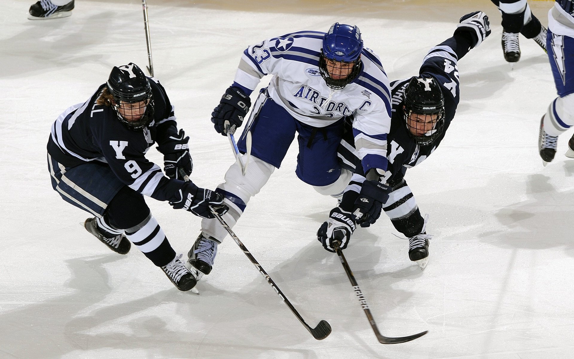 2026体育比赛精彩瞬间，2020体育赛事报道